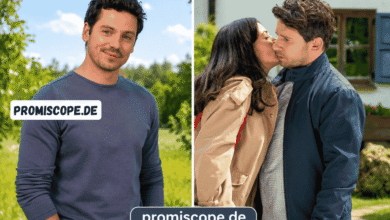 ard mediathek sturm der liebe
